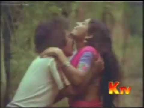 Ada Neela Sela Parakkaiyile