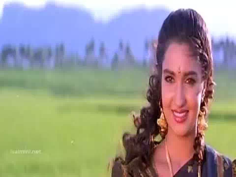 Adi Vannathi Poo