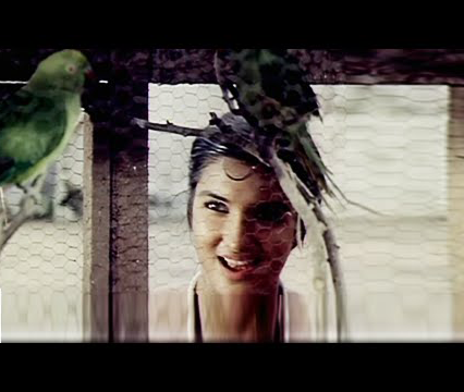 Chinna Kili Vanna Kili