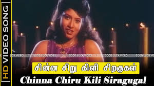 Chinnanjiru Kili