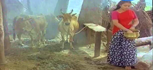 Kagam Karainjiruchi Kakkiruttu