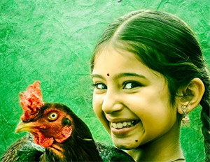 Kokkara Kozhi