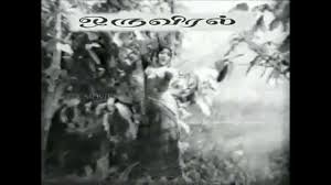 Malligai Mottu