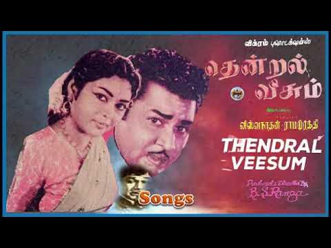 Meettatha Veenai