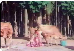 Naan Raja Veettu