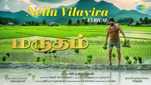 Nellu Vilayira