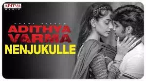 Nenjukulle