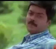 Ooty Malai Roja Chediyil