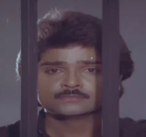 Pogum Paathai