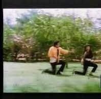 Pon Maane Niladi