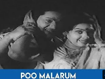 Poo Malarum Velaiyile