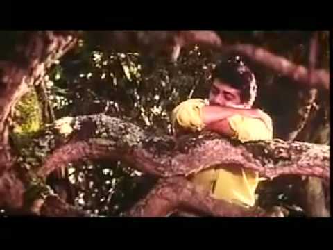 Poovukellam Siragu