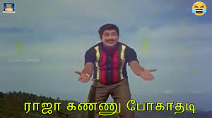 Raja Kannu Pogathadi