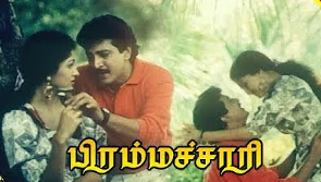 Thenkasi Thene